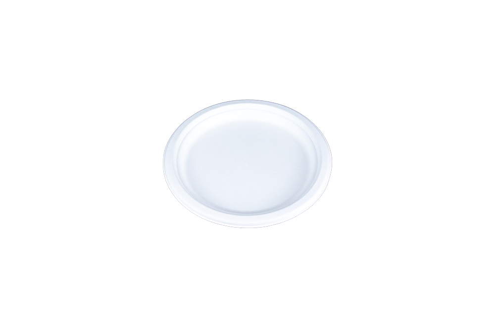 ChampWare 10″ Plate