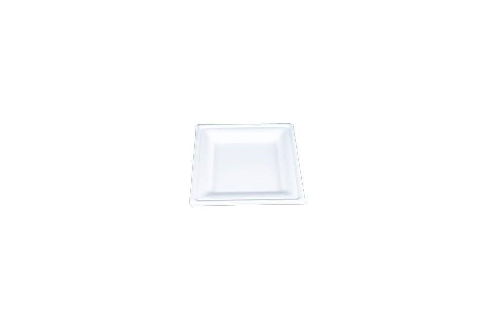 ChampWare 6″ Square Plate