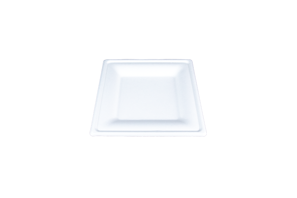 ChampWare 10″ Square Plate