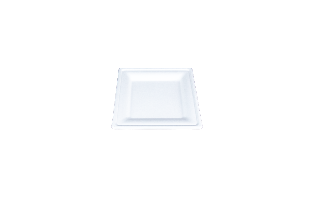 ChampWare 8″ Square Plate